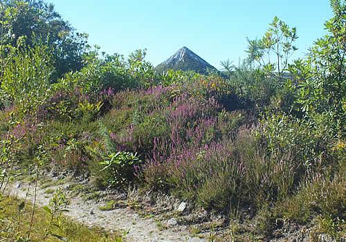 Photo Gallery Image - Carglaze Downs Walk - views over the Great Carglaze China Clay Works