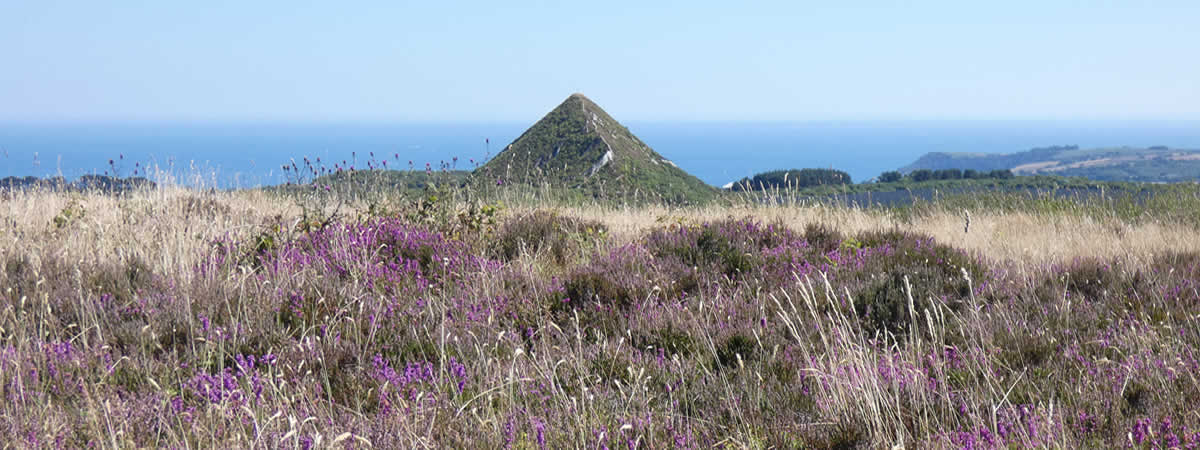 Image 03