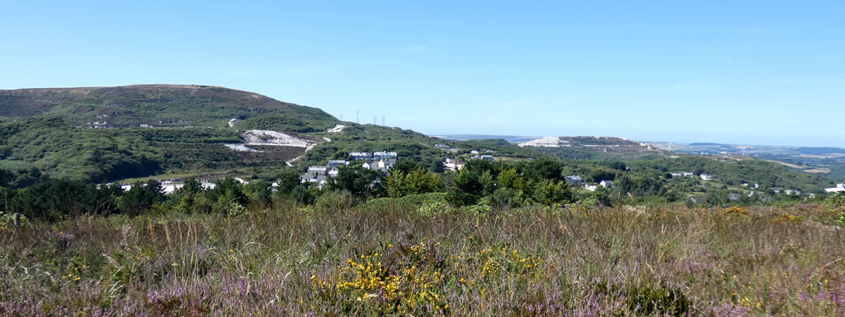 Image 01